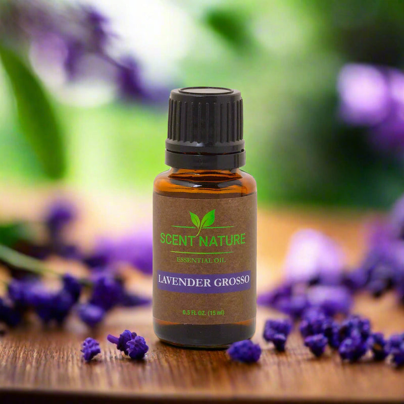 Scent Nature Essential Oil - Lavender Grosso