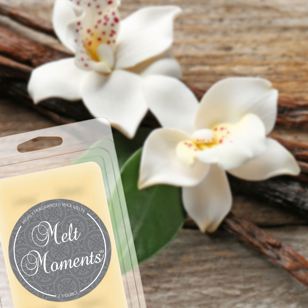 Wax Melts - Vanilla Bean (Set of 2)