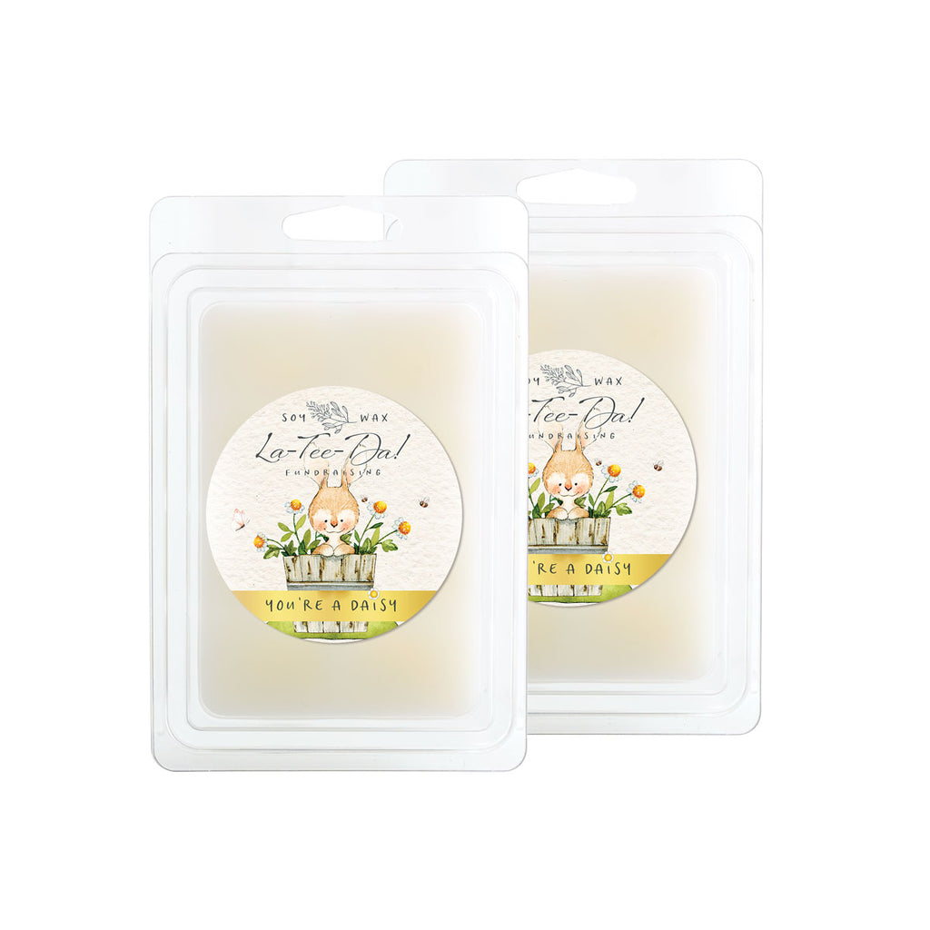 Wax Melts - You're a Daisy (Set of 2)