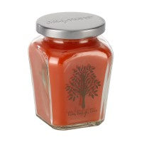 Petite Jar Candle - Fall Harvest Spice