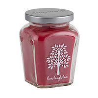 Petite Jar Candle - Holiday Cinnamon Snaps