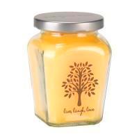Petite Jar Candle - Pineapple Paradise