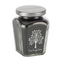 Petite Jar Candle - Ice & Evergreen